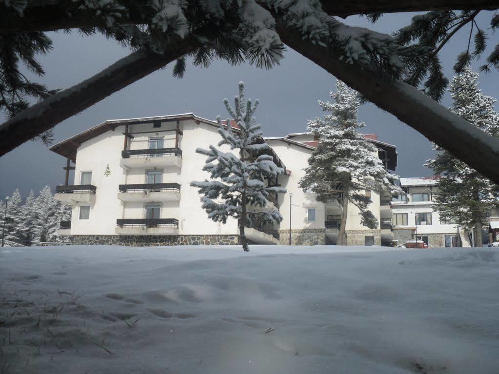 Bor Hotel Belitsa  외부 사진