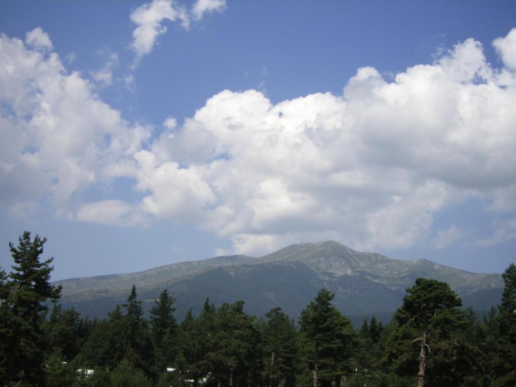 Bor Hotel Belitsa  객실 사진